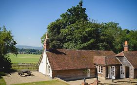 Cowdray Lodge B&B Rooms